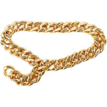 Load image into Gallery viewer, Ins Street Personality Metal Gold Thick Chain Wide Waist Chain Decoration