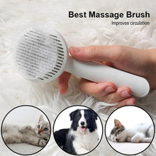 Load image into Gallery viewer, Pet Self Cleaning Cat Brushes, Cat Grooming Brush For Dogs Cats For Long Haired &amp; Short Hair Gently To Remove Loose Undercoat, Mats Tangled