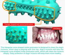 Load image into Gallery viewer, Pet Dog Cleaning Chew Toys For Aggressive Dogs Rubber Molar Stick Dog Oral Teeth