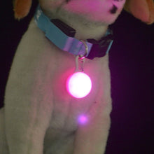 Load image into Gallery viewer, LED Pet Dog/Cat Collar Pendant Night Safety Glowing Pendant Pet Products Night Light Collar Pedant Pet Supplies Dog Accessories